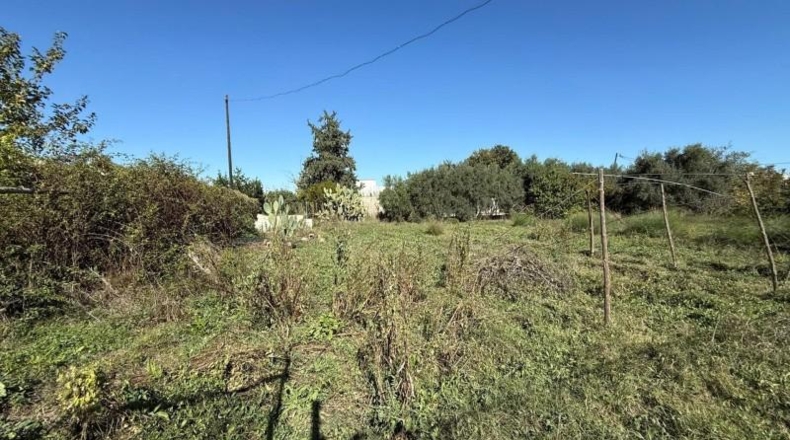 Murcia - Murcia - 1262 m²