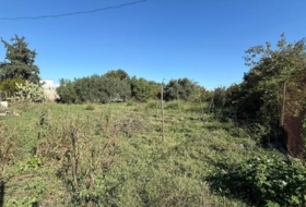 Murcia 1262&nbsp;m²