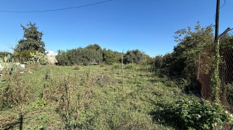 Murcia - Murcia - 1262 m²