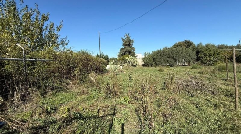 Murcia - Murcia - 1262 m²
