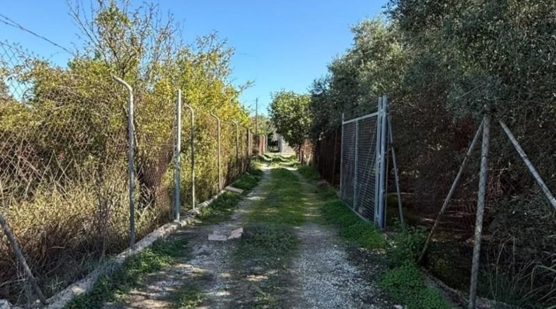 Murcia - Murcia - 1262 m²
