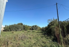 Murcia 1262&nbsp;m²