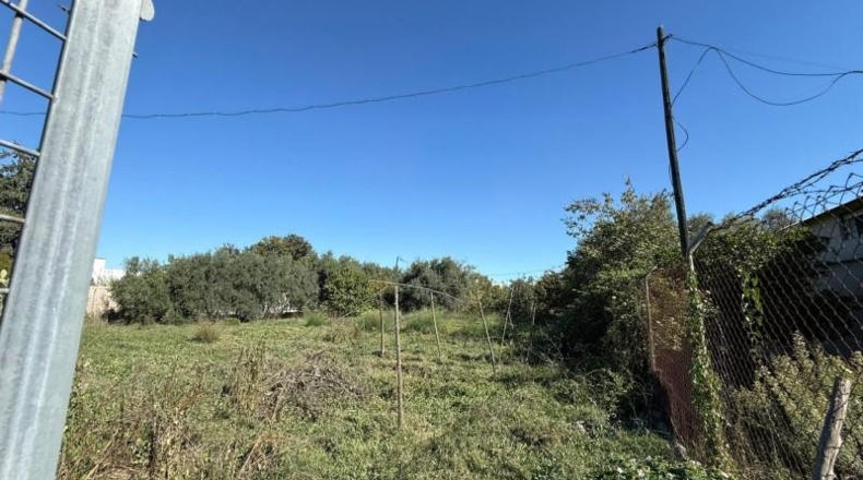 Murcia - Murcia - 1262 m²