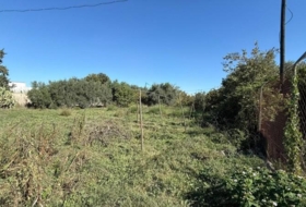 Murcia 1262&nbsp;m²