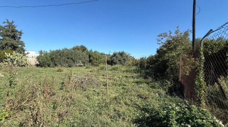 Murcia - Murcia - 1262 m²