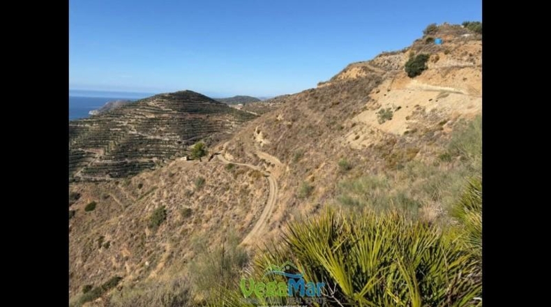 Granada - Almuñécar - 7900 m²
