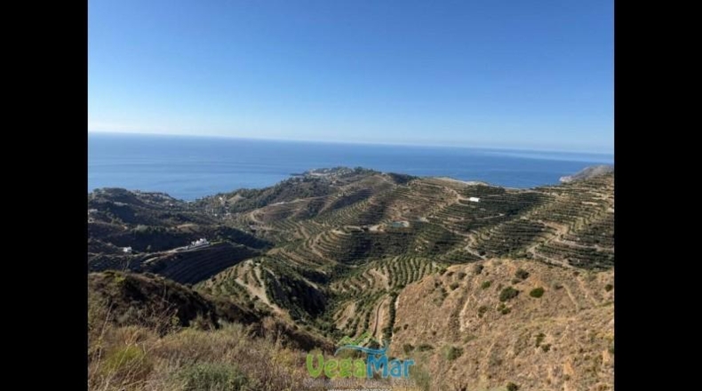 Granada - Almuñécar - 7900 m²
