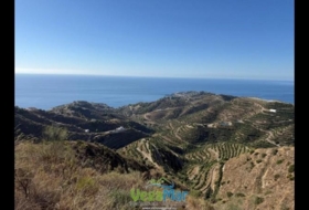 Almuñécar 7900&nbsp;m²