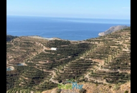 Almuñécar 7900&nbsp;m²