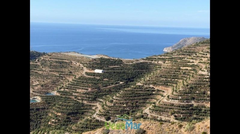Granada - Almuñécar - 7900 m²