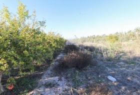 Elx 13461&nbsp;m² 