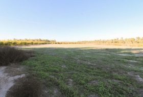 Elx 13461&nbsp;m² 