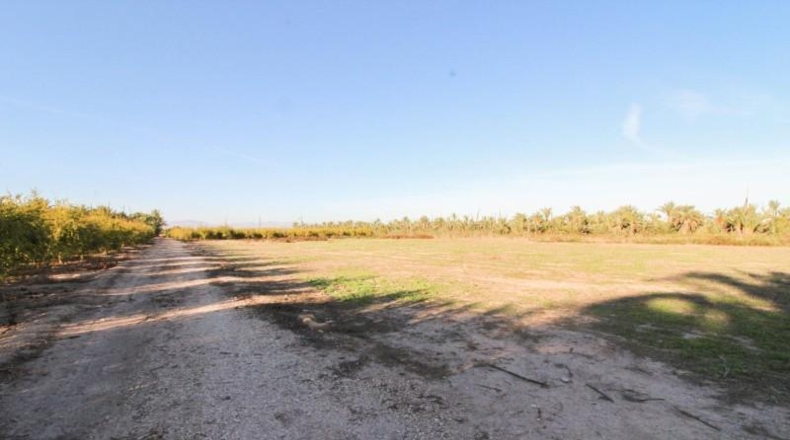Alicante - Elx - 13461 m²