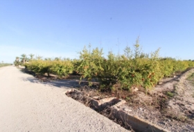 Elx 13461&nbsp;m² 