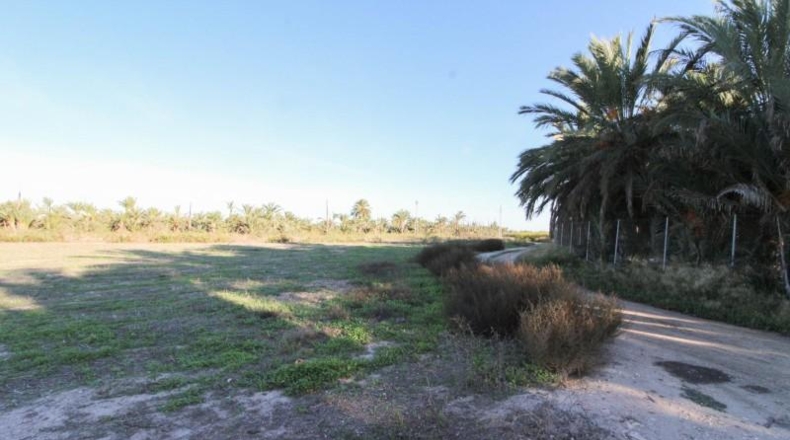Alicante - Elx - 13461 m²