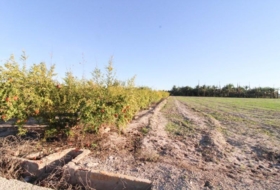 Elx 13461&nbsp;m² 