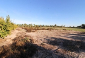 Elx 13461&nbsp;m² 