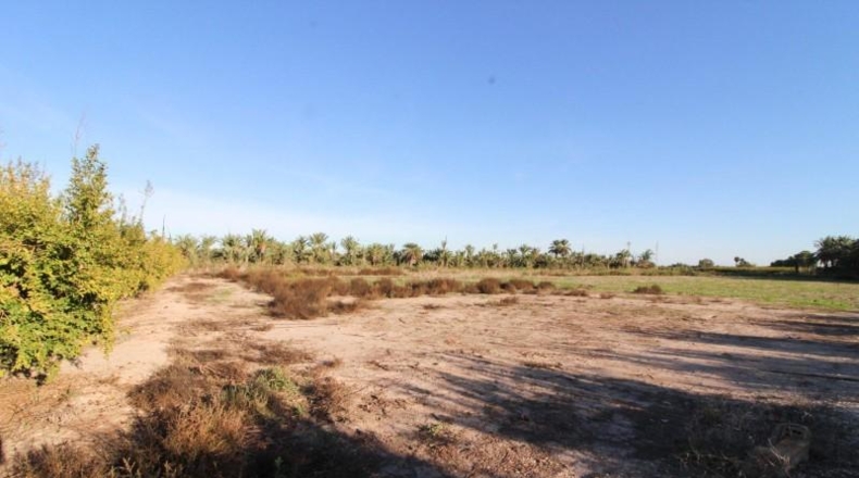 Alicante - Elx - 13461 m²