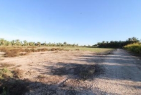 Elx 13461&nbsp;m² 
