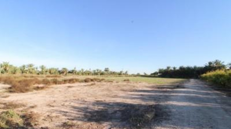 Alicante - Elx - 13461 m²