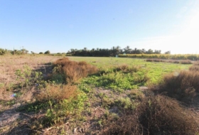 Elx 13461&nbsp;m² 