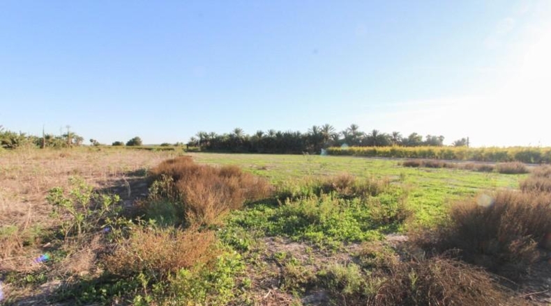 Alicante - Elx - 13461 m²