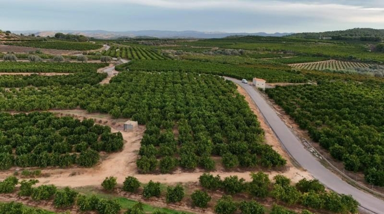 Valencia - Villamarchante - 21135 m²