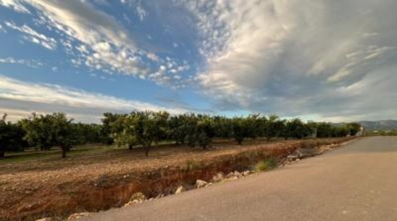 Valencia - Villamarchante - 21135 m²