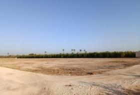 Elx 9800&nbsp;m² 