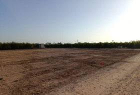 Elx 9800&nbsp;m² 
