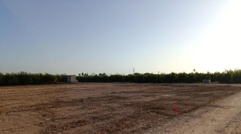 Alicante - Elx - 9800 m²