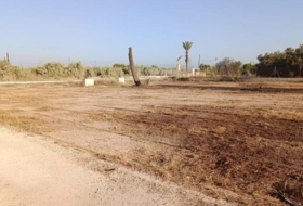 Elx 9800&nbsp;m² 
