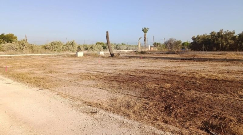 Alicante - Elx - 9800 m²