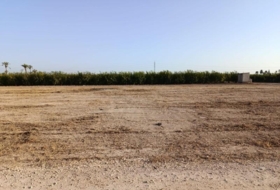 Elx 9800&nbsp;m² 