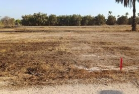 Elx 9800&nbsp;m² 