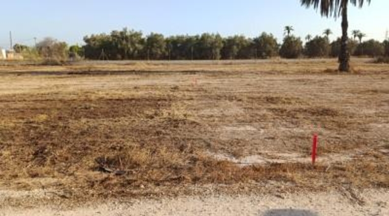 Alicante - Elx - 9800 m²