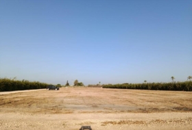 Elx 9800&nbsp;m² 