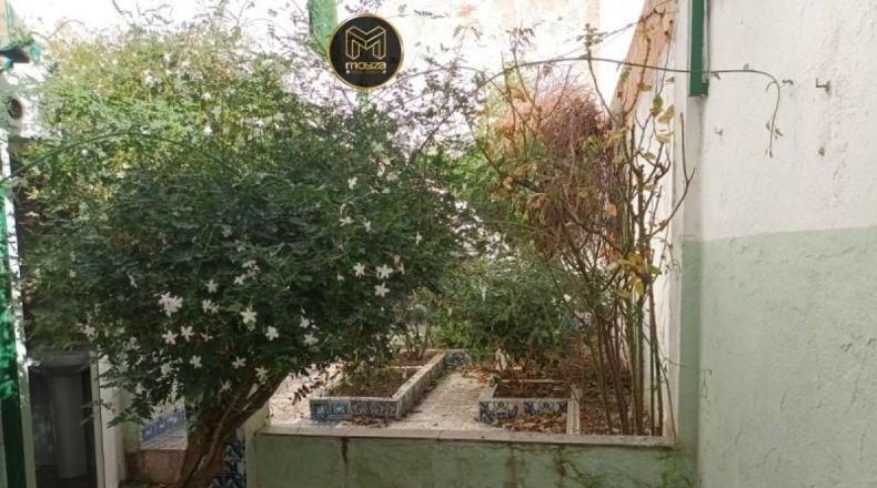 Jaén - Torredonjimeno - 220 m²