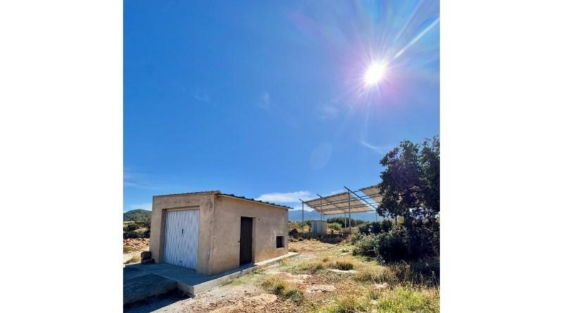 Гранада - Фрейла - 70000 м²