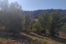 Foto 8