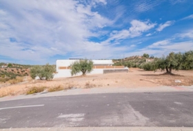 Peligros 350&nbsp;m²