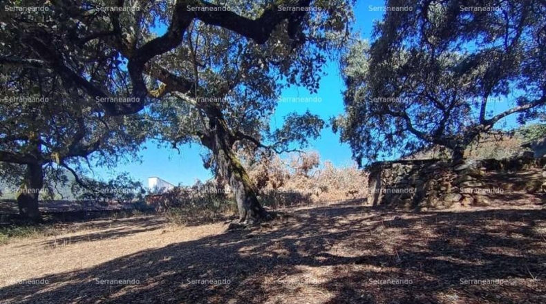 Huelva - Jabugo - 3307 m²