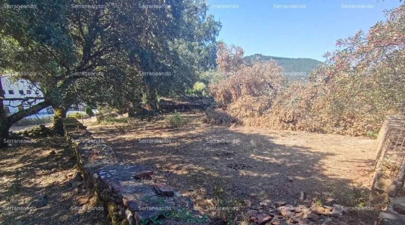 Huelva - Jabugo - 3307 m²