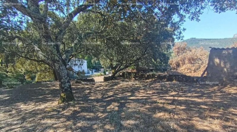 Huelva - Jabugo - 3307 m²