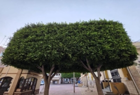 Santa Pola 123&nbsp;m² 