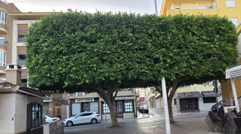 Alicante - Santa Pola - 123 m²