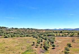 Manacor 22052&nbsp;m²