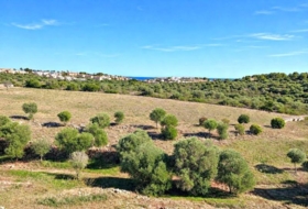 Manacor 22052&nbsp;m²