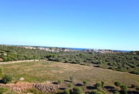 Manacor 22052&nbsp;m²
