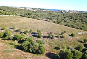 Manacor 22052&nbsp;m²